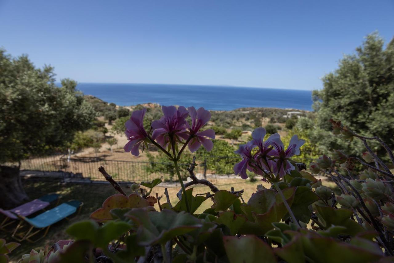 Manolis' House Villa Agia Paraskevi  Exterior photo